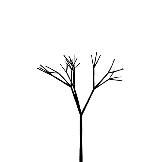 fractal-life